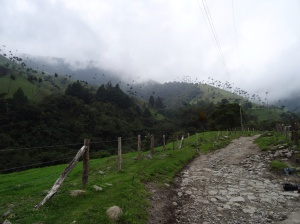 The road to Valle de Cocora. Once the tarmac ends, the fun begins. 